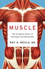 Muscle: The Gripping Story of Strength and Movement cena un informācija | Ekonomikas grāmatas | 220.lv
