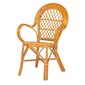 Krēsls RattaNeo Coral k46 konjaka krāsā cena un informācija | Virtuves un ēdamistabas krēsli | 220.lv