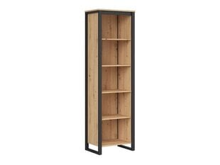 Книжный шкаф BRW Dodson, коричневый цвет цена и информация | Шкафы | 220.lv