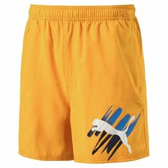 Спортивные шорты для мальчиков Puma Style Summer Оранжевый цена и информация | Шорты для мальчиков | 220.lv