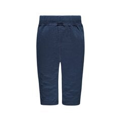 Короткие шорты для мальчиков, синие цена и информация | Штаны для мальчиков | 220.lv