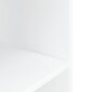 Akvārija statīvs vidaXL, 120x40x60 cm, balts cena un informācija | Akvāriji un aprīkojums | 220.lv