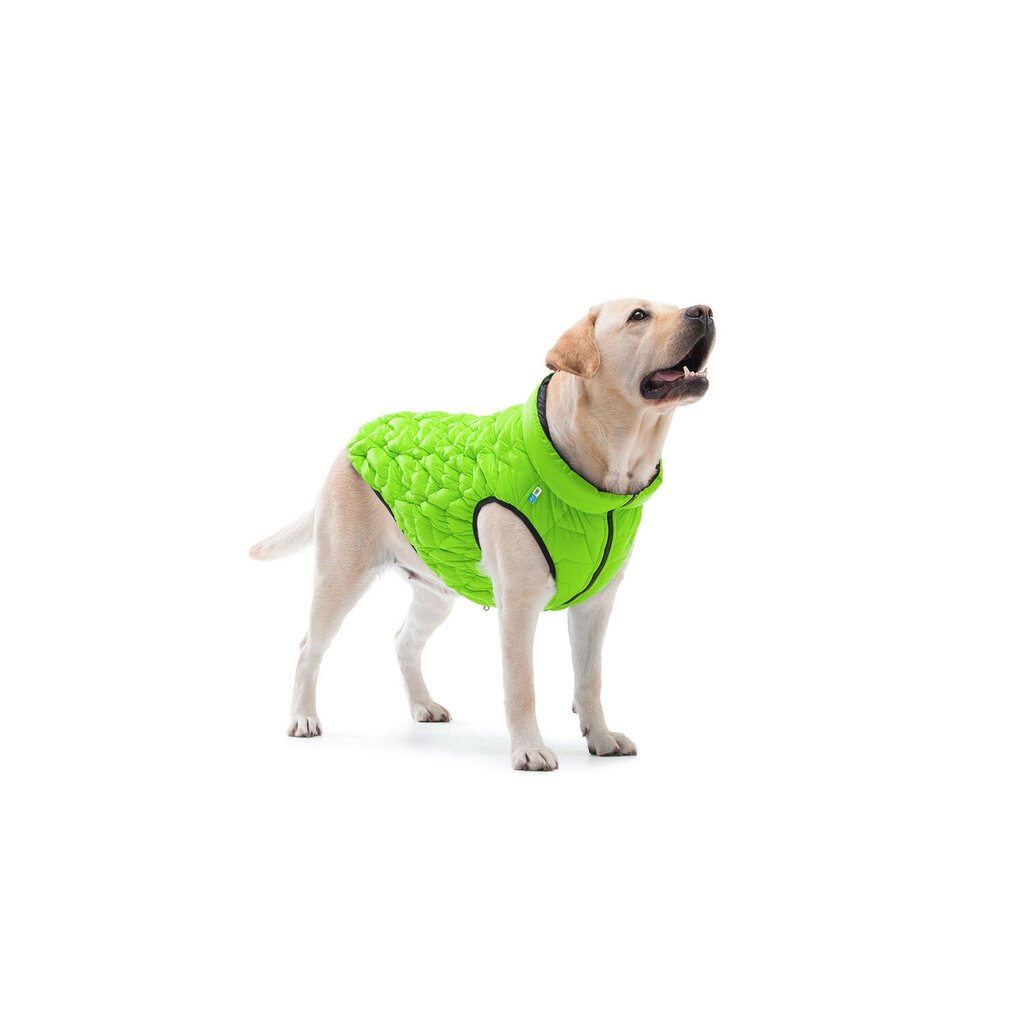 Suņu virsjaka AiryVest, dažādi izmēri, zaļa cena un informācija | Apģērbi suņiem | 220.lv