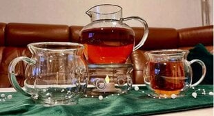 MPLCo trauku komplekts karstajam vīnam vai tējai, 4 daļu cena un informācija | Glāzes, krūzes, karafes | 220.lv