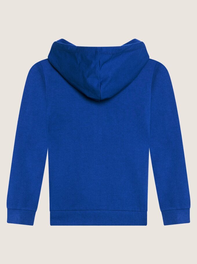 Name It džemperis zēniem Nkmnesweat Card W Hood Unb Noos 13197665, zils cena un informācija | Zēnu jakas, džemperi, žaketes, vestes | 220.lv