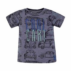 Zēnu T-krekls ar īsām piedurknēm цена и информация | Рубашки для мальчиков | 220.lv