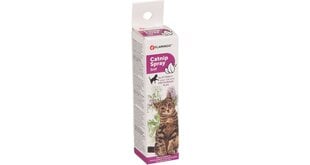 Flamingo Catnip izsmidzināmais kaķiem 25ml цена и информация | Средства по уходу за животными | 220.lv