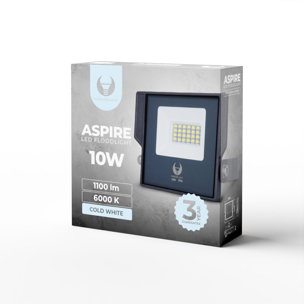 Prožektors LED Aspire Forever Light 10W 6000K, pelēks cena un informācija | Āra apgaismojums | 220.lv