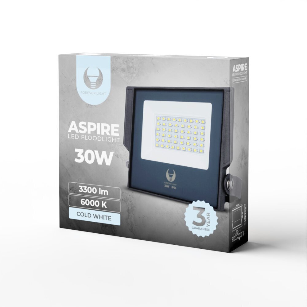 Prožektors LED Aspire Foreve Light, 30W, 6000K, pelēks cena un informācija | Āra apgaismojums | 220.lv