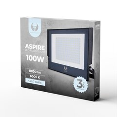 Prožektors LED Aspire Forever Light 100W 6000K, pelēks cena un informācija | Āra apgaismojums | 220.lv