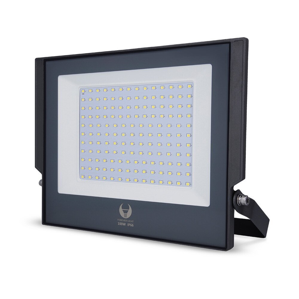 Prožektors LED Aspire Forever Light 100W 6000K, pelēks cena un informācija | Āra apgaismojums | 220.lv