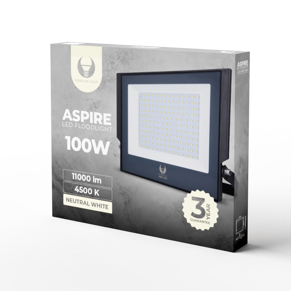 Prožektors LED Aspire ForeverLight 100W 4500K, pelēks cena un informācija | Āra apgaismojums | 220.lv