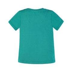 Футболка с короткими рукавами для мальчиков цена и информация | Рубашки для мальчиков | 220.lv