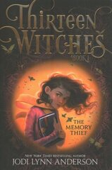 Thirteen Witches Witch Hunter Collection (Boxed Set): The Memory Thief; The Sea of Always; The Palace of Dreams Boxed Set ed. цена и информация | Книги для подростков  | 220.lv