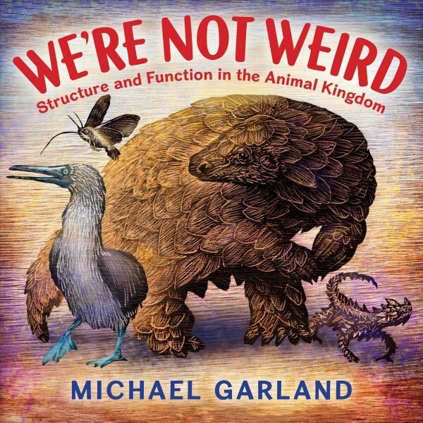 We're Not Weird: Structure and Function in the Animal Kingdom цена и информация | Grāmatas pusaudžiem un jauniešiem | 220.lv