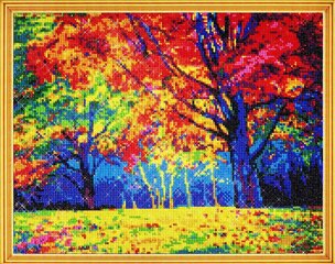 Dimantu mozaīkas komplekts uz rāmja TM Varvikas - Autumn Forest LG229e 40x50 cm cena un informācija | Dimantu mozaīkas | 220.lv