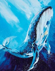 Dimantu mozaīkas komplekts uz rāmja TM Varvikas - Majestic Whale LG244e 40x50 cm цена и информация | Алмазная мозаика | 220.lv