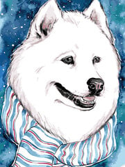 Glezna pēc numuriem TM Varvikas - Fluffy White Dog ME1111e 30x40 cm cena un informācija | Gleznas pēc numuriem | 220.lv