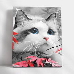 Набор для рисования картины - живопись по номерам ТМ Варвикас Голубоглазый котенок ME1153e, 30х40 см  цена и информация | Живопись по номерам | 220.lv