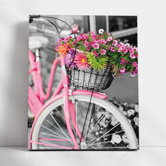Glezna pēc numuriem TM Varvikas - Pink bicycle MG2464e 40x50 cm cena un informācija | Gleznas pēc numuriem | 220.lv