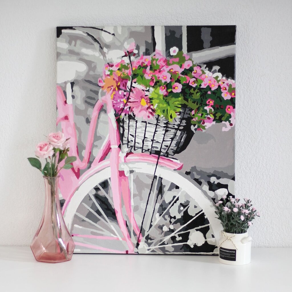 Glezna pēc numuriem TM Varvikas - Pink bicycle MG2464e 40x50 cm cena un informācija | Gleznas pēc numuriem | 220.lv