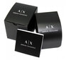 Pulkstenis sievietēm Armani Exchange AX1865 cena un informācija | Sieviešu pulksteņi | 220.lv