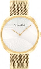 Женские часы Calvin Klein 1685215. цена и информация | Женские часы | 220.lv