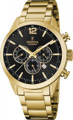 мужские часы festina timeless chronograph 20633/3 + коробка цена и информация | Женские часы | 220.lv