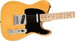Elektriskā ģitāra Fender Squier Affinity Telecaster MN BPG BTB cena un informācija | Ģitāras | 220.lv