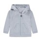Unisex džemperis ar kapuci Kanz, zils cena un informācija | Džemperi, vestes, jaciņas zīdaiņiem | 220.lv