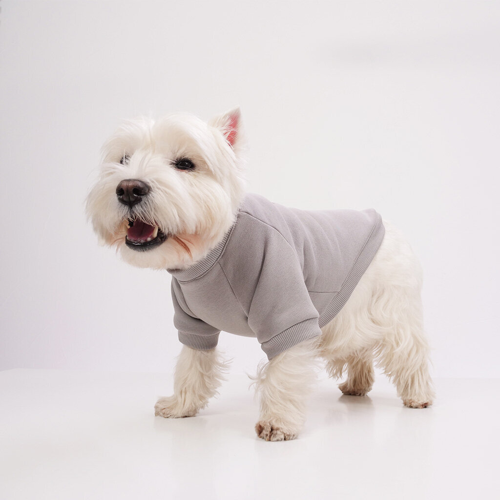 Suņu sporta krekls Love, pelēks cena un informācija | Apģērbi suņiem | 220.lv