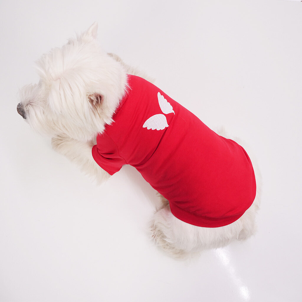 T-krekls Eņģelis, sarkans цена и информация | Apģērbi suņiem | 220.lv