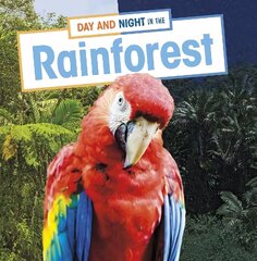 Day and Night in the Rainforest cena un informācija | Grāmatas pusaudžiem un jauniešiem | 220.lv