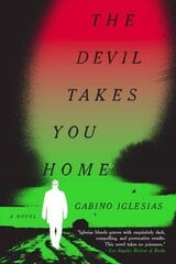 Devil Takes You Home цена и информация | Фантастика, фэнтези | 220.lv