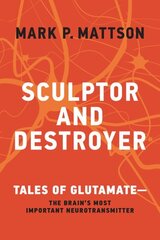 Sculptor and Destroyer: Tales of Glutamatethe Brains Most Important Neurotransmitter cena un informācija | Ekonomikas grāmatas | 220.lv