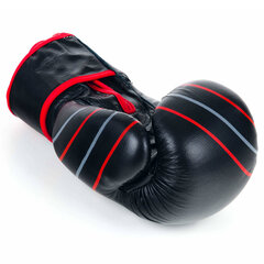 Боксерские перчатки Ring Profi (RR-10) 12 oz, черные цена и информация | Боевые искусства | 220.lv