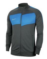 Futbola džemperis vīriešiem Nike, zils cena un informācija | Futbola formas un citas preces | 220.lv