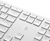 HP 300 3ML04AA#AKC цена и информация | Klaviatūras | 220.lv
