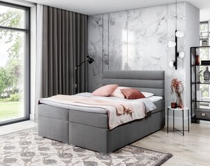 Кровать  Softy, 140х200 см, серый цвет цена и информация | Кровати | 220.lv