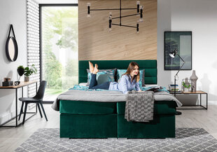 Кровать  Softy, 140х200 см, зеленый цвет цена и информация | Кровати | 220.lv