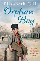 Orphan Boy cena un informācija | Fantāzija, fantastikas grāmatas | 220.lv