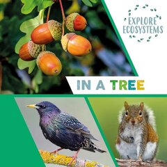 Explore Ecosystems: In a Tree Illustrated edition cena un informācija | Grāmatas pusaudžiem un jauniešiem | 220.lv