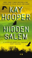 Hidden Salem цена и информация | Фантастика, фэнтези | 220.lv