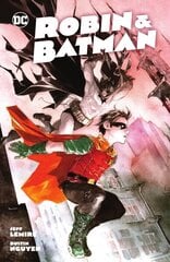 Robin & Batman cena un informācija | Fantāzija, fantastikas grāmatas | 220.lv