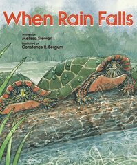 When Rain Falls цена и информация | Книги для подростков  | 220.lv