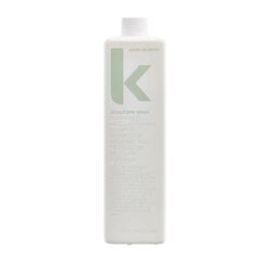Очищающий шампунь для кожи головы и волос Kevin Murphy Scalp SPA Wash, 1000 мл цена и информация | Шампуни | 220.lv
