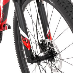 Kalnu velosipēds Rock Machine Torrent 70-29, 29", sarkans (L) cena un informācija | Velosipēdi | 220.lv