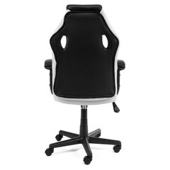 Spēļu krēsls Akord F4G FG-19, balts/melns цена и информация | Офисные кресла | 220.lv