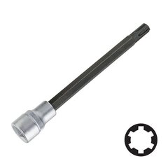 Sprauslas galva Ribe Froce, M10S 1/2",, 1 gab. цена и информация | ПОЛКА-ОРГАНИЗАТОР ДЛЯ ТЕЛЕФОНА В АВТОМОБИЛЬ | 220.lv