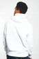 TOMMY JEANS vīriešu džemperis ar kapuci DM0DM10907 YBR цена и информация | Vīriešu džemperi | 220.lv